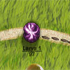 Bug War // Game