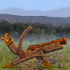 Da Vinci Cannon // Game