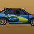 Long Distance Desert Rally