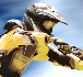 FMX Team 2 // Game