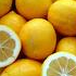 Lemonade Stand // Game