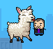 Llama in Your Face // Game